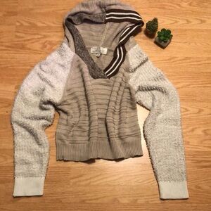 Cozy Cropped V•Neck Hooded Sweater